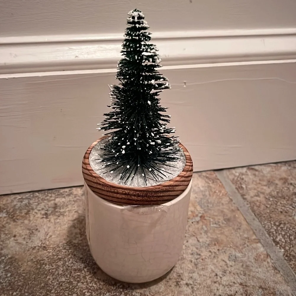Anthropologie Small Sisal Tree Set of 3 Candles NIB